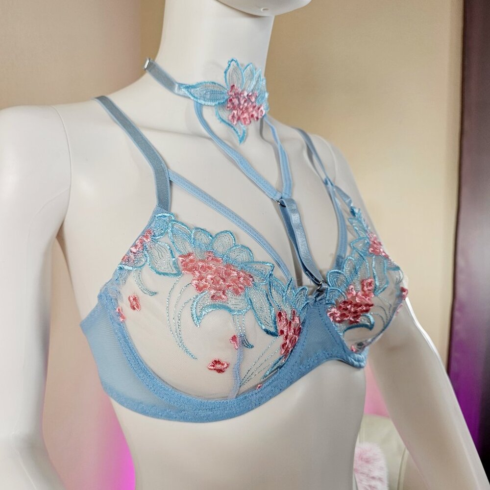 Sexy Mesh Embroidered Lingerie Set with Neck Ring, Bra & Thong, Size 6/M ~ NWOT - Picture 2 of 5